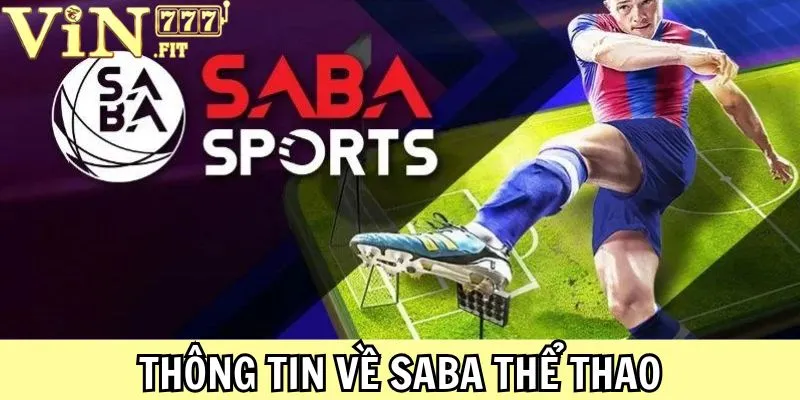 SABA Thể Thao - Điểm Đến Hoàn Hảo Thỏa Mãn Đam Mê 2025 2 SABA Thể Thao Vin777